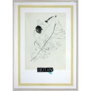 Francisca Mompó. De la serie botánica, 2011