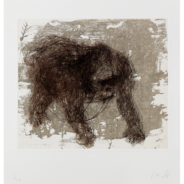 Miquel Barceló. Gorille à l´eau forte . Grabado