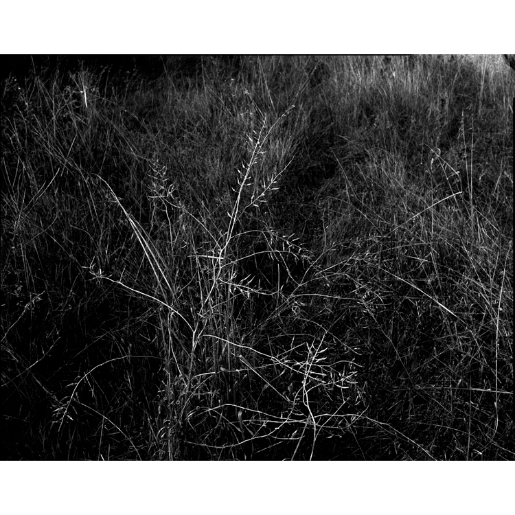 Campos de Campo. Jean Marie del Moral. PHotoEspaña2019