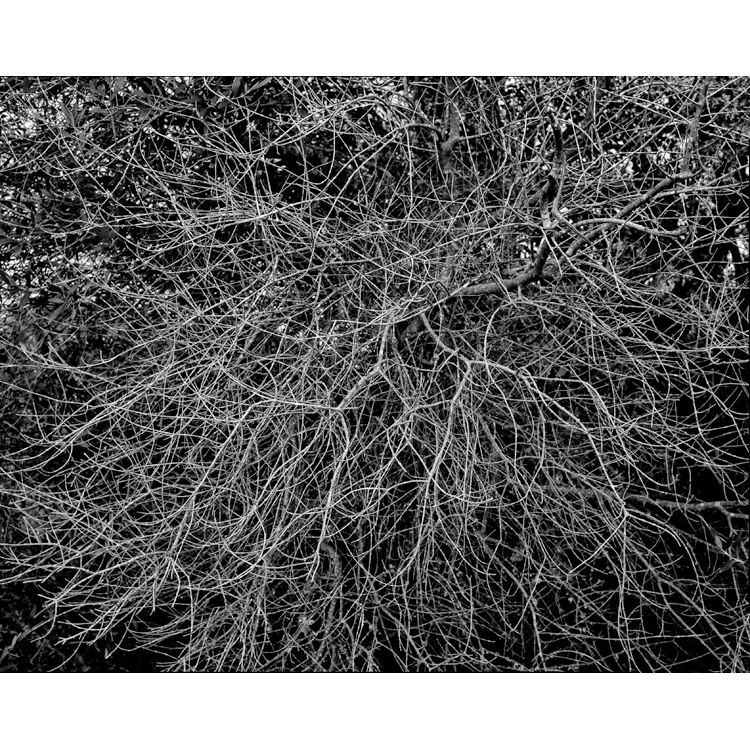 Campos de Campos. jean Marie del Moral. PHotoESPAÑA2019