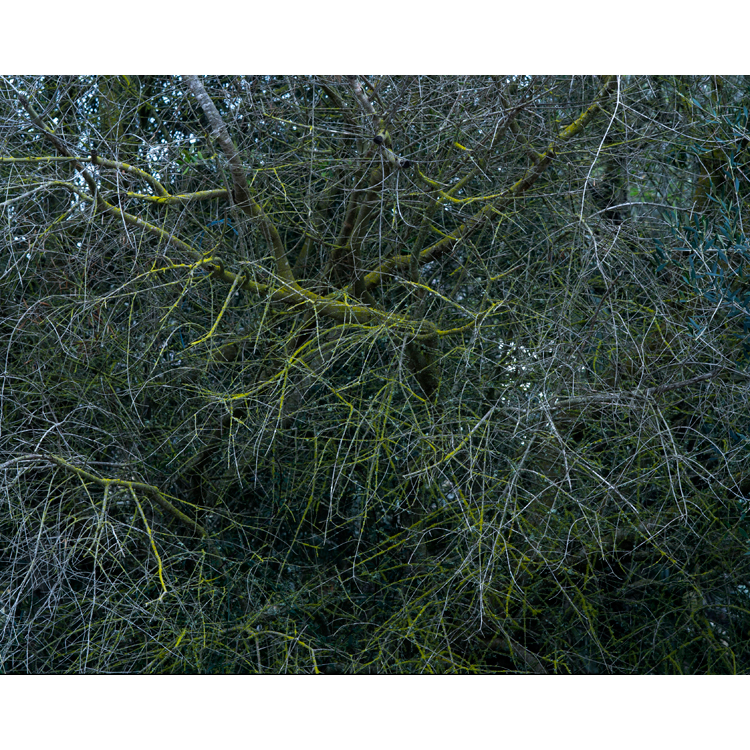 Campos de Campos. Jean Marie del Moral. PHotoEspaña2019