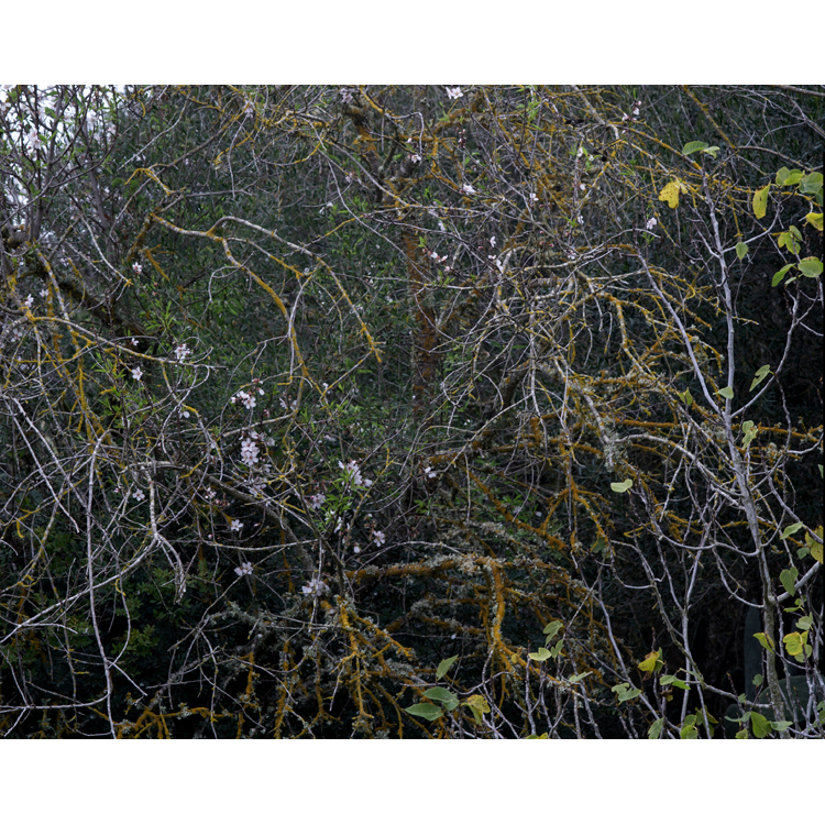 Campos de Campos. Jean Marie del Moral. PHoESPAÑA2019