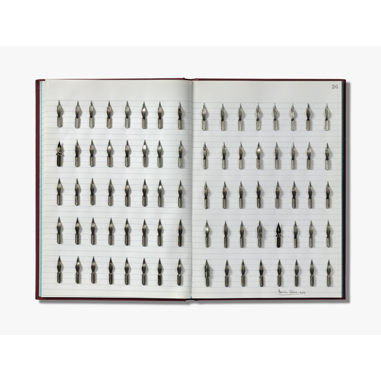 Le sentier d´honneur. Carmen Calvo, 2013