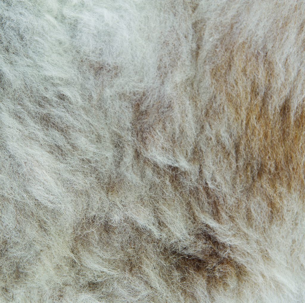Cubierta de piel de oveja Beige.