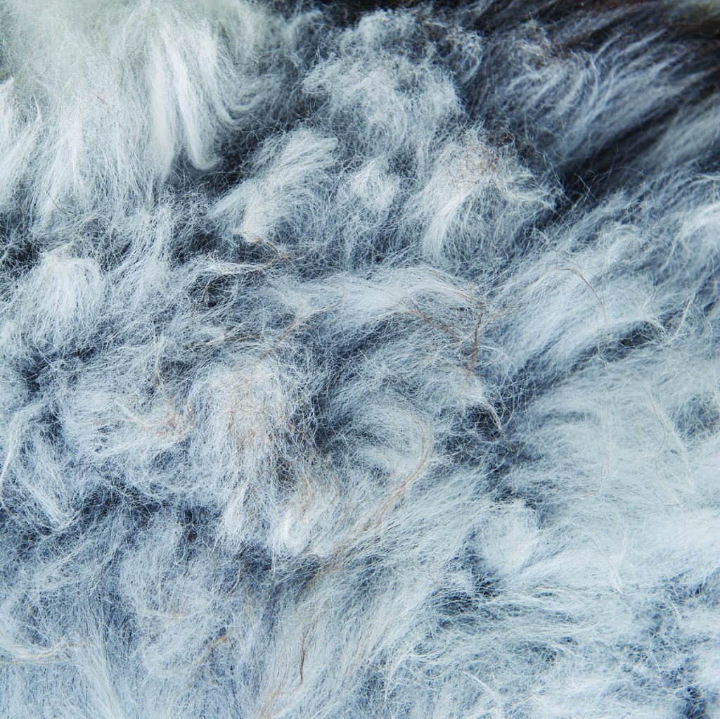 Cubierta de piel de oveja Gris/Negro.