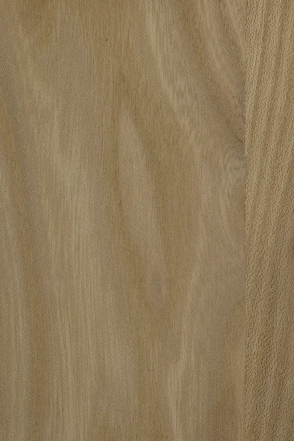 Olmo. Jabón natural. A01