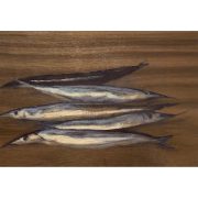 Carmen Pinart. Agujas, 2025. Óleo sobre macizo de madera de nogal.