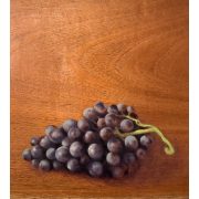 Carmen Pinart. Racimo de uvas, 2025. Óleo sobre macizo de madera de caoba.